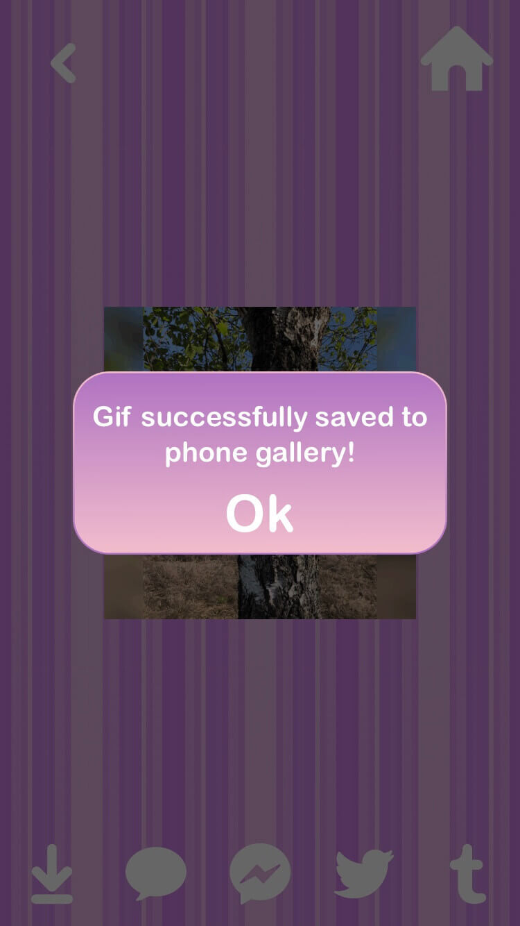 GIF app
